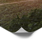 Poster Système d'irrigation agricole (Coin)