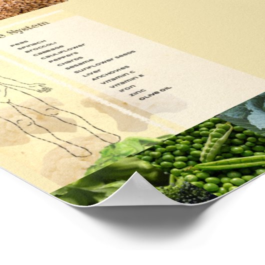 Poster Système immunitaire sain Póster (Coin)