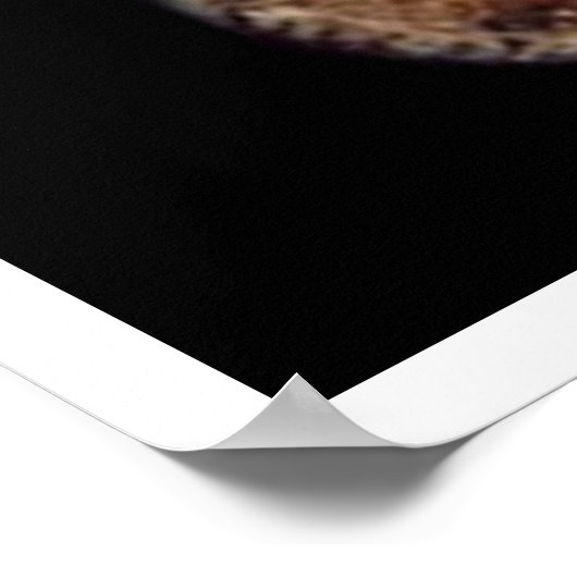 Poster Système Jovien (Coin)