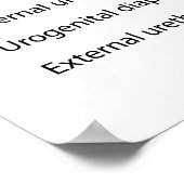 Poster Système urinaire féminin labellisé (Coin)