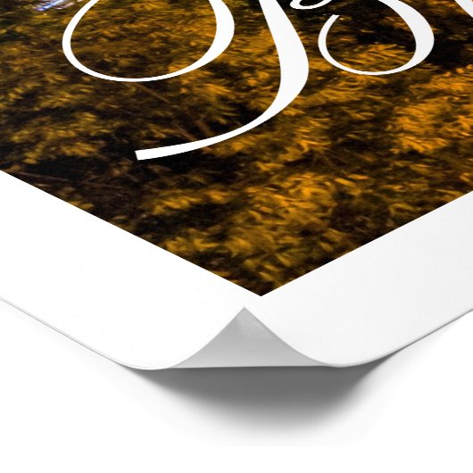 Poster Szechenyi Pont Chaîne Budapest, Hongrie (Coin)