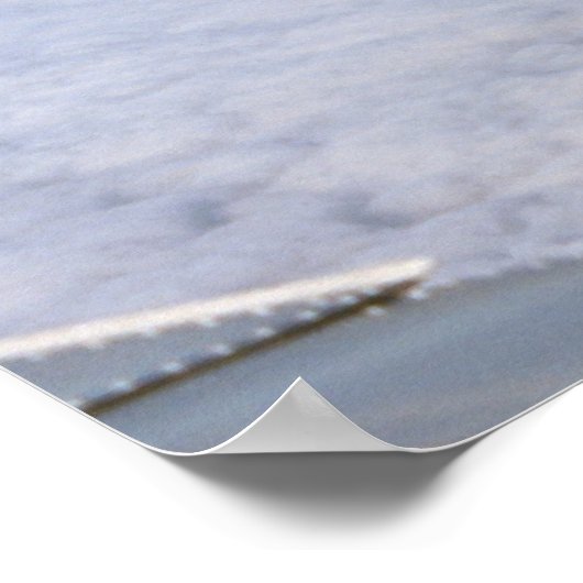 Poster T-2 Buckeyes (Coin)