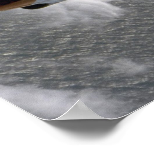 Poster T-2 Buckeyes (Coin)