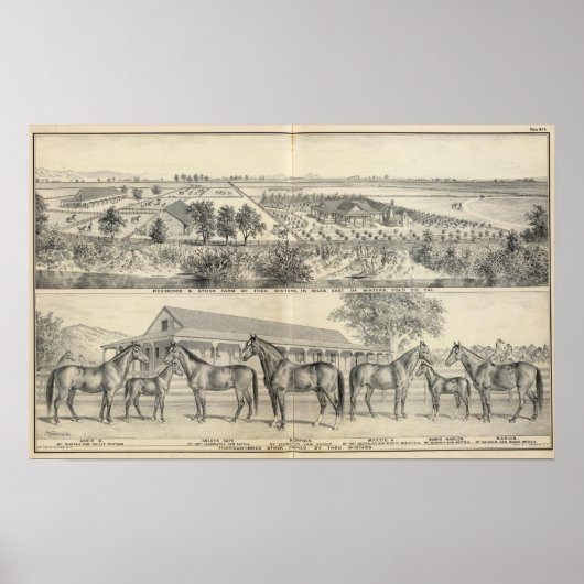 Poster T Ferme d'hiver (Devant)