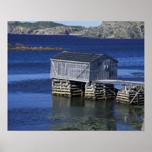 Poster T.N., Canada, Terre-Neuve, Durrell. Pêche (Devant)