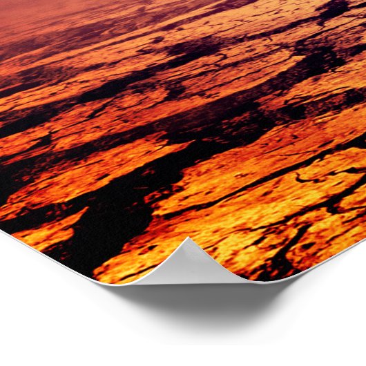 Poster T-rex Dinosaur (Coin)