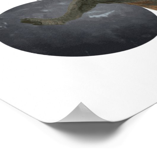 Poster T-Rex Dinosaure Balle d'épave (Coin)