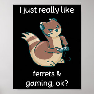 Poster T-shirt drôle pour amateur de furet et de jeu vidé