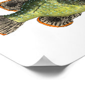 Poster T-shirt sébaste vert (Coin)