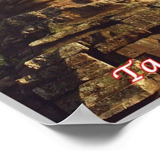 Poster Ta Prohm - Cambodge - (Coin)
