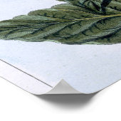 Poster Tabac plante, plaque 7, de 'Collection Precieuse (Coin)