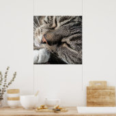 Poster Tabat Dormir (Cuisine)