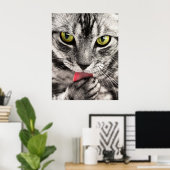 Poster tabby-114782 tabby cat fermer portrait féline an (Bureau à domicile)