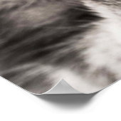 Poster tabby-114782 tabby cat fermer portrait féline an (Coin)