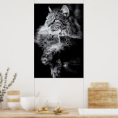 Poster Tabby à cheveux longs en argent (Cuisine)
