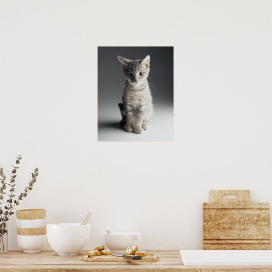 Poster Tabby bleu Kitten (Cuisine)