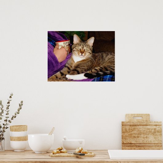 Poster Tabby Break (Cuisine)