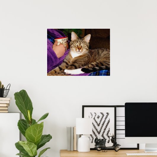 Poster Tabby Break (Bureau à domicile)