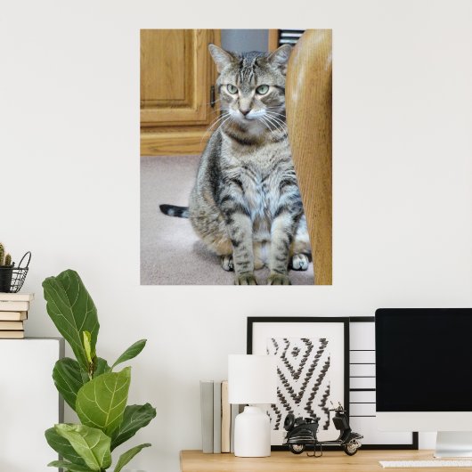 Poster Tabby Cat (Bureau à domicile)