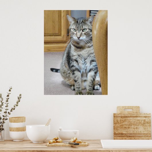 Poster Tabby Cat (Cuisine)