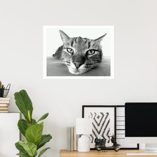 Poster Tabby Cat Face (Bureau à domicile)