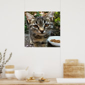 Poster Tabby Cat Kitten Faire contact visuel (Cuisine)