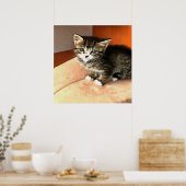 Poster Tabby Cat Kitten Portrait pour animaux (Cuisine)