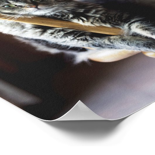 Poster Tabby Chat sur Chaise à manger en bois Imprimer (Coin)