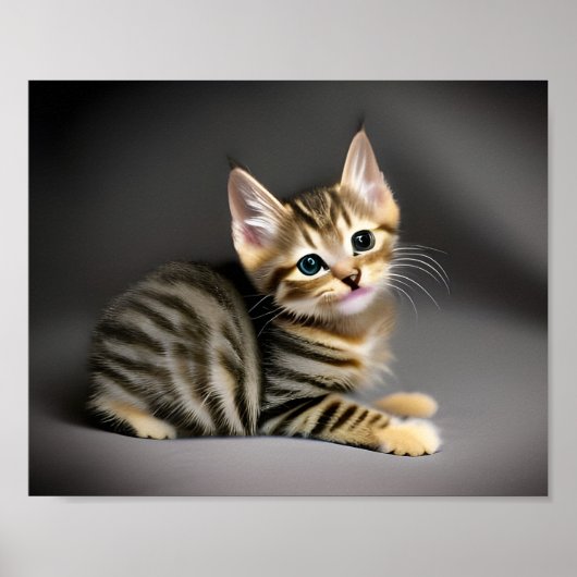 Poster Tabby chatte moelleux chatte bébé (Devant)