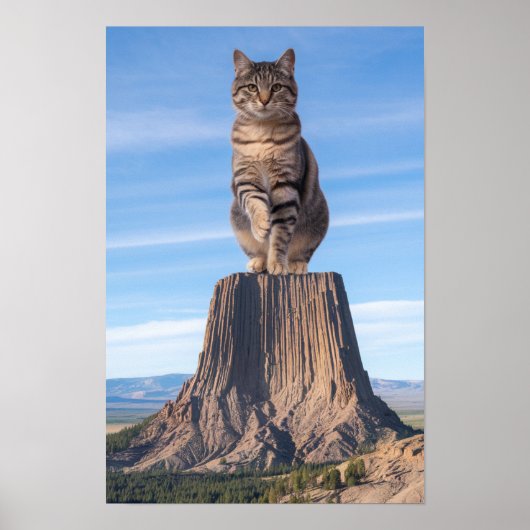 Poster Tabby géant de la tour du Diable (Devant)