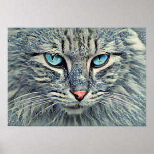 Poster Tabby gris - Yeux bleu chat