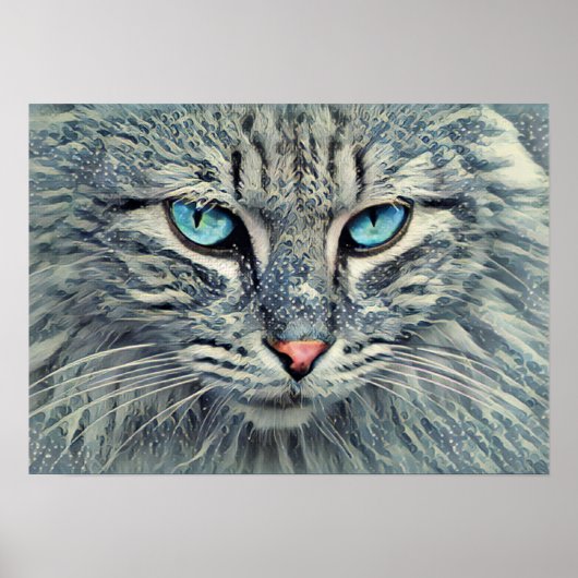 Poster Tabby gris - Yeux bleu chat (Devant)