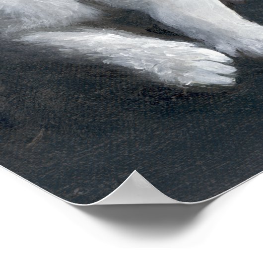 Poster Tabby Kitten (Coin)