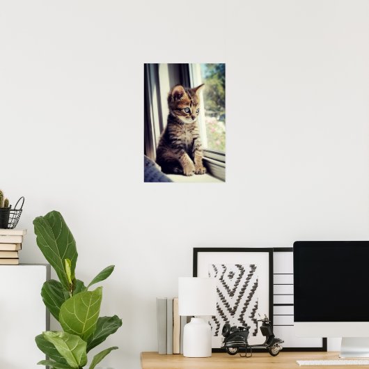 Poster Tabby Kitten Regarder (Bureau à domicile)