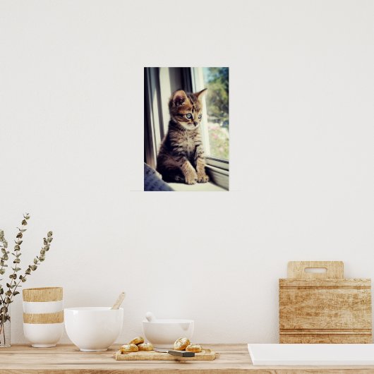 Poster Tabby Kitten Regarder (Cuisine)
