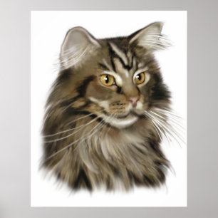 Poster Tabby noir Maine Coon Cat