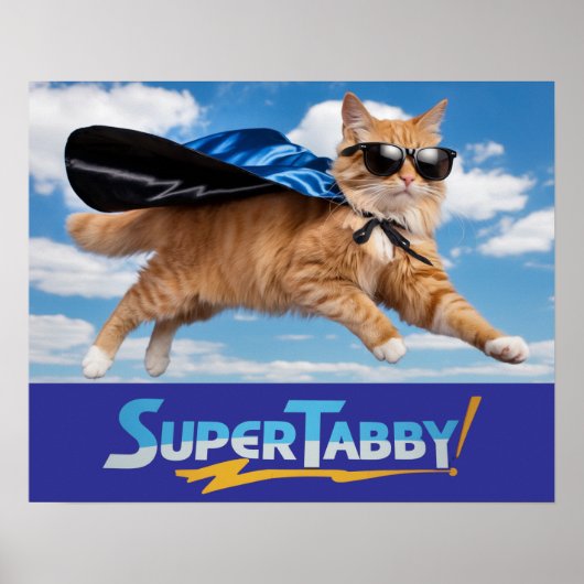 Poster Tabby Superhero (Devant)