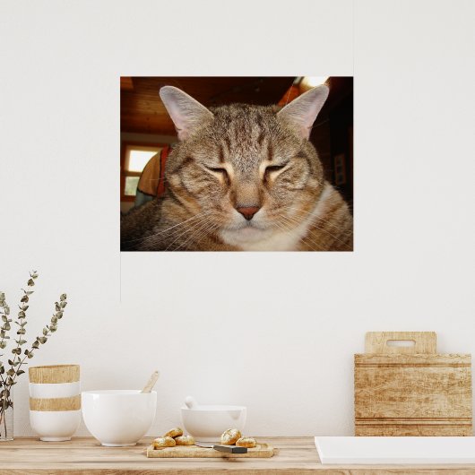 Poster Tabby Tiger Cat (Cuisine)