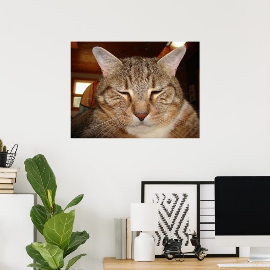 Poster Tabby Tiger Cat (Bureau à domicile)