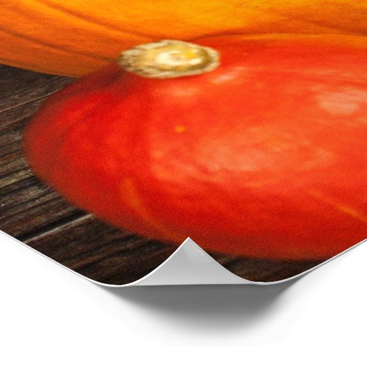 Poster Table Bountiful Harvest (Coin)