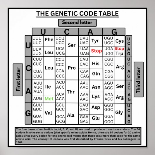 Poster Table de code génétique (Devant)