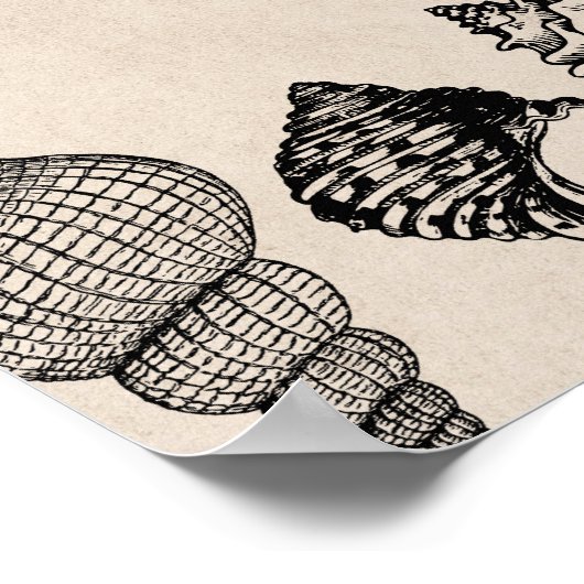 Poster Table Mariage Siège 10 Plan de siège Coques Mer (Coin)