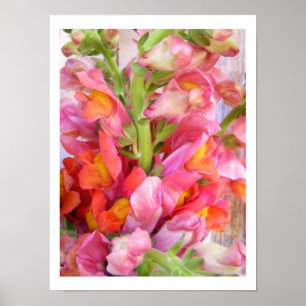 Poster Tableaux