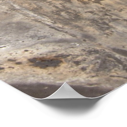 Poster Tableaux de rue rustiques (Coin)