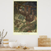 Poster Tableaux vintages de fentes (1919) (Cuisine)