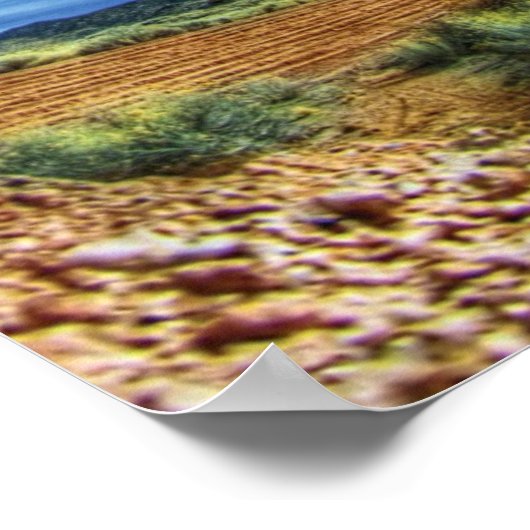 Poster Tabletop Sandia (Coin)