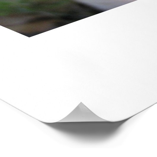 Poster Tabouret à grille (Coin)