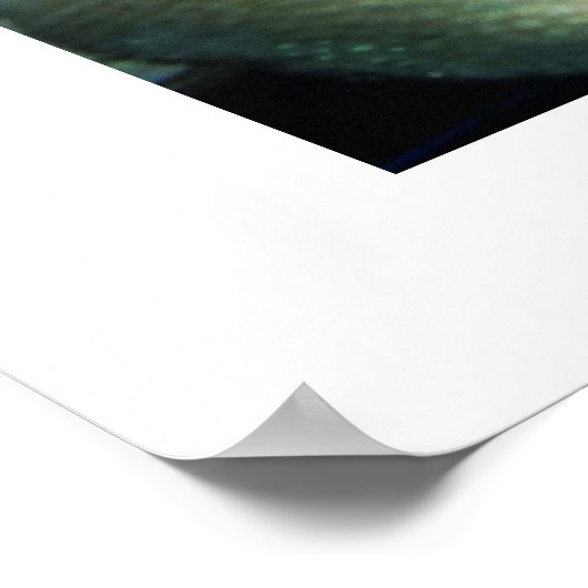 Poster Tabouret en cuir corail (Coin)