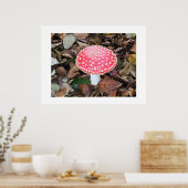 Poster Tabouret rouge, Amanita muscaria (Cuisine)