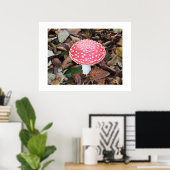 Poster Tabouret rouge, Amanita muscaria (Bureau à domicile)